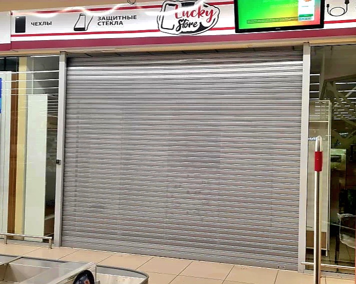 Роллетные ворота DoorHan в Бузулуке с установкой